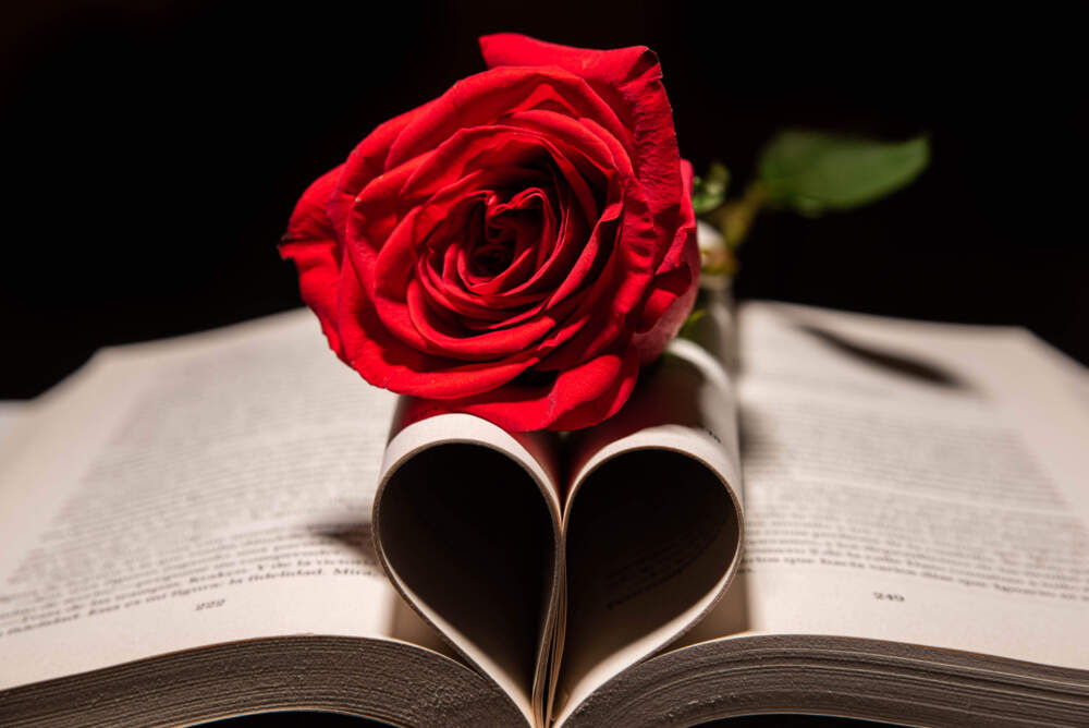 A rose in the pages of a book. (Getty Images)