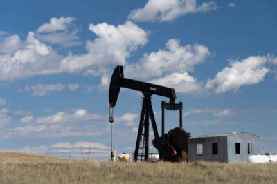 Oil pump jack on Great Plains, southeastern Wyoming. (Photo by: Marli Miller/UCG/Universal Images Group via Getty Images)