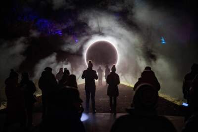 Silhouettes of people in the dark looking at a glowing orb of light.