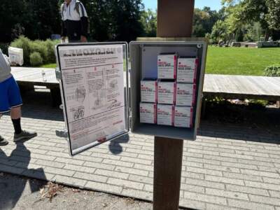An outdoor box in Northampton, Massachusetts, can fit up to nine packages of Narcan, each containing two doses of the overdose-reversal drug. (Alden Bourne/NEPM)