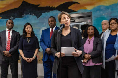Gov. Maura Healey talks to reporters about the efforts to bring migrants in need of shelter to the Melnea Cass recreation center in Roxbury. (Jesse Costa/WBUR)