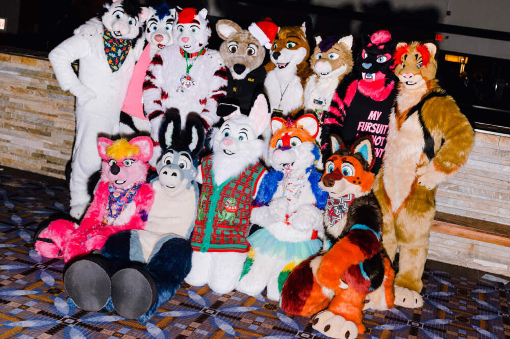 With perky ears and tails wagging, 'furries' converge in Boston WBUR News