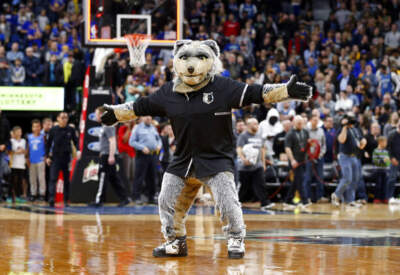 Minnesota Timberwolves mascot Crunch performs during the second half of an NBA basketball game against the Golden State Warriors Friday, March 10, 2017, in Minneapolis. The Timberwolves won 103-102. (Jim Mone/AP)