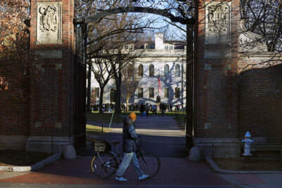 Cambridge, MA - January 2: The entrance to Harvard Yard. Harvard University President Claudine Gay resigned from her position after six months in the role. (Photo by David L. Ryan/The Boston Globe via Getty Images)