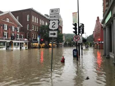 The city of Montpelier wants to prevent future floods from causing the scale of damage the state's capital experienced in July. (Peter Hirschfeld/Vermont Public)