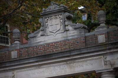 The Harvard coat of arms on the Class of 1875 Gate in Harvard Yard. (Jesse Costa/WBUR)