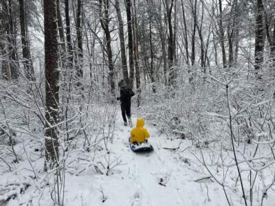 A family member pulls along a 6-year-old on a sled in a wooded area of Lincoln, Mass. early Sunday. (Gabrielle Emanuel/WBUR)