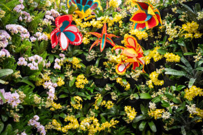A mix of living orchids and plastic orchids created by artist Molly Gambardella. (Courtesy/New England Botanic Garden/Photo by Troy Thompson.)