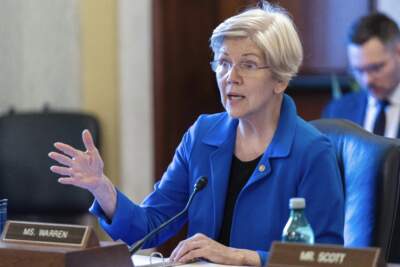 Sen. Elizabeth Warren speaks during a committee hearing in 2023. (Jose Luis Magana/AP)