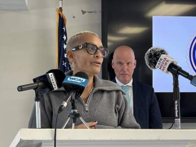 Audrey Morrissey, co-executive director of My Life My Choice, speaks at Monday's announcement of a state grant the district attorney's office won to combat human trafficking. At right is Cape and Islands District Attorney Robert Galibois. (Jennette Barnes/CAI)