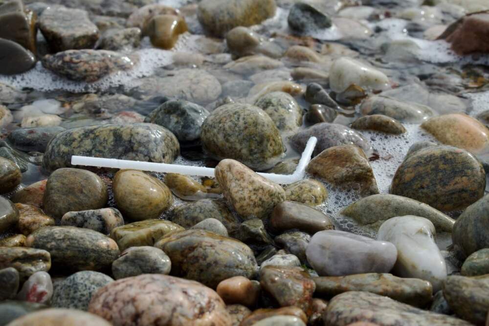 Straws are ones of the most commonly found sources of marine litter. (Courtesy of Bryan James for WHOI via CAI)
