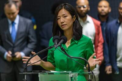 Mayor Michelle Wu speaks during a press conference in Roxbury. (Jesse Costa/WBUR)