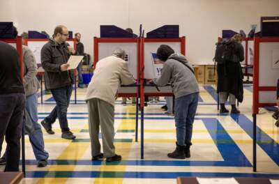 Medford voters fill the voting booths at Missituk Elementary School. (Robin Lubbock/WBUR)