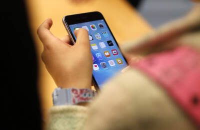 A new law in Florida seeks to prevent children under 14 from joining social media. (Kiichiro Sato/AP)