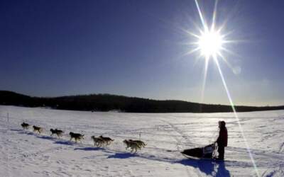 Musher Keith Aili of Ray, Minn., and his sled dog team cross Portage Lake in Portage, Maine. (Robert F. Bukaty/AP)