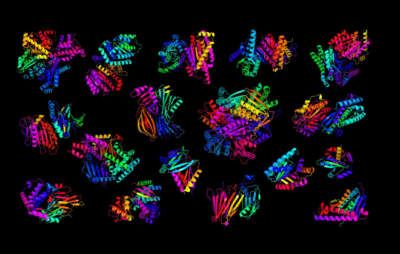 Protein structures generated by artificial intelligence at Somerville-based Generate: Biomedicines. (Courtesy Generate:Biomedicines)