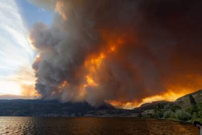 The McDougall Creek wildfire burns in the hills West Kelowna, British Columbia, Canada, on August 17, 2023, as seen from Kelowna. (Darren Hull/AFP via Getty Images)