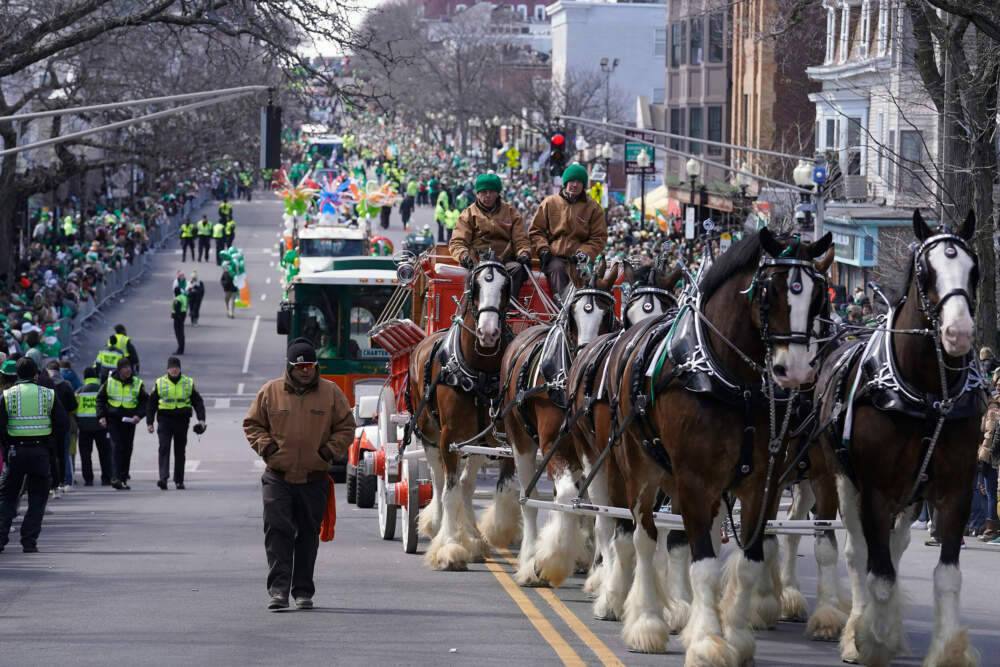 Horses pull a wagon during the St. Patrick's Day parade in 2023. (Steven Senne/AP)
