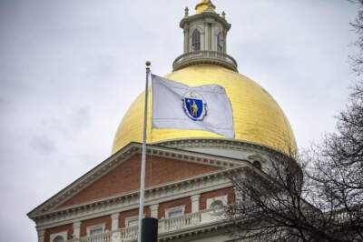 The Massachusetts State House and flag. (Jesse Costa/WBUR)