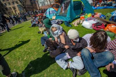 Students at Northeastern stood up an encampment in protest of the war in Gaza on Thursday. (Jesse Costa/WBUR)