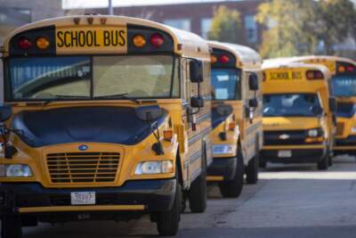 School buses waiting for students to be dismissed at in Boston. (Jesse Costa/WBUR)