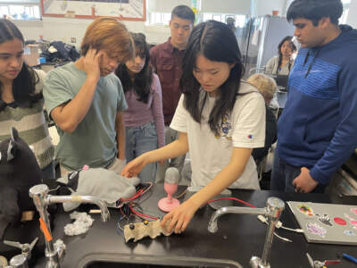 Princeton High School students working on the prototypes they are developing for their entry in Samsung Electronics' Solve for Tomorrow competition (P. Kenneth Burns/WHYY)