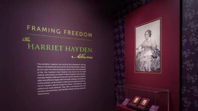 &quot;Framing Freedom&quot; at the Boston Athenaeum takes a look at the life of Black activist and abolitionist Harriet Hayden and the anti-slavery movement in Boston. (Courtesy Tony Rinaldo/Boston Athenaeum)