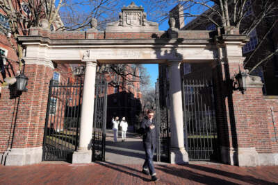 A passer-by walks through a gate to the Harvard University campus, Jan. 2, 2024, in Cambridge, Mass. (Steven Senne/AP)