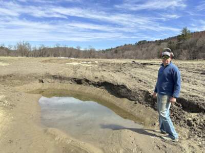 Farmer George Gross, of Dog River Farm in Berlin, Vt., stands, Wednesday, April 17, 2024, next to a hole left in his field by December, 2023, flooding. (Lisa Rathke/AP)