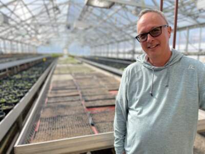 Anthony Hennessy, superintendent of horticulture for the City of Boston, in the city's greenhouse in Franklin Park. (Rupa Shenoy/WBUR)