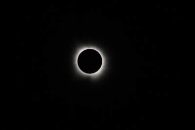 A view of the total solar eclipse from Dallas. (Micaela Rodriguez/Here & Now)
