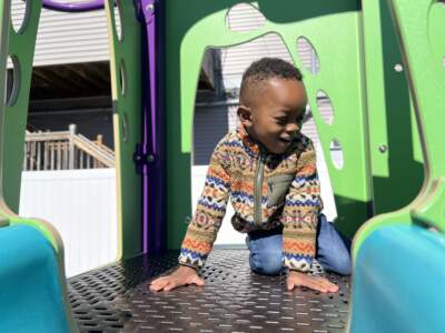 Nana, also known as Juju, enjoys a mild spring day on the playground at Children’s Friend Early Learning Center, a Seven Hills affiliate in Worcester, Massachusetts. (Ashley Locke/Here & Now)