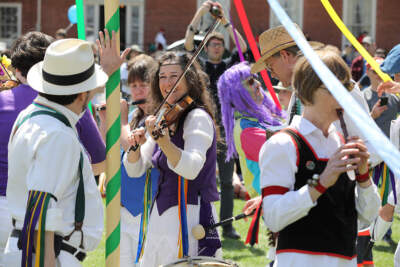 Morris dancers leading the Maypole Dance at a previous Sheepshearing Festival.
