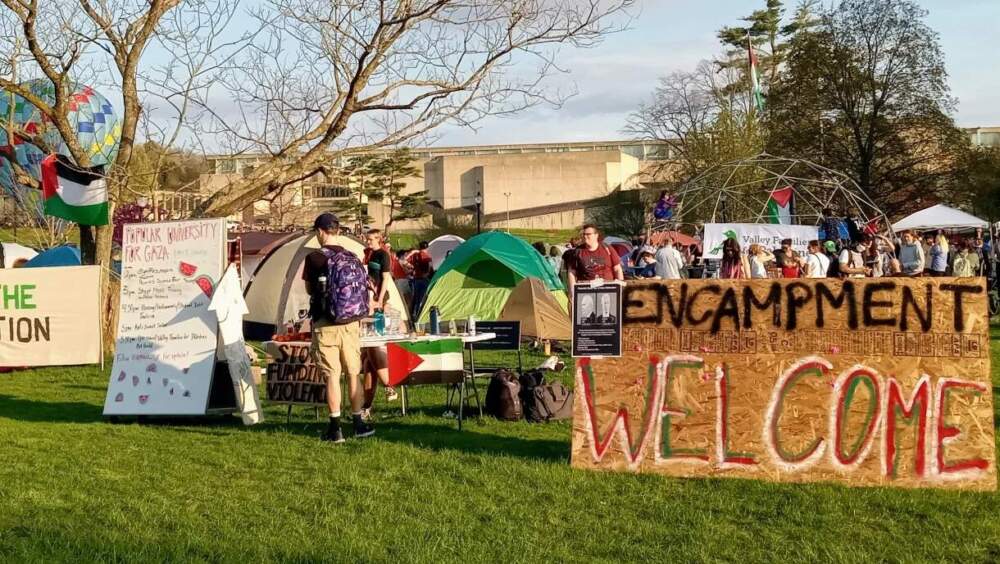 In protest of the war in Gaza, students at the University of Massachusetts Amherst established a tent encampment April 29, 2024. (Jill Kaufman/NEPM)