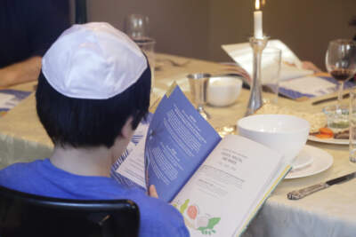 A boy follows a reading at his family's Passover meal in 2020. (Elaine Thompson/AP)