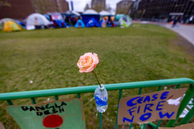 A rose in a water bottle hangs with protester signs along the barrier at the pro-Palestinian camp at MIT. (Jesse Costa/WBUR)
