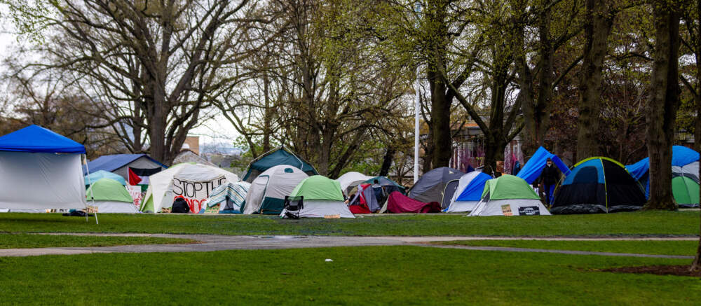 The encampment at Tufts University on the morning of May 1, 2024. (Jesse Costa/WBUR)