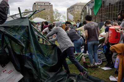 Protesters push over the fence surrounding the encampment at MIT on Monday evening. (Robin Lubbock/WBUR)