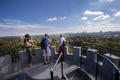 Visitors of Mt. Auburn Cemetery stand atop Washington Tower while taking photographs of the Boston skyline. (Jesse Costa/WBUR)