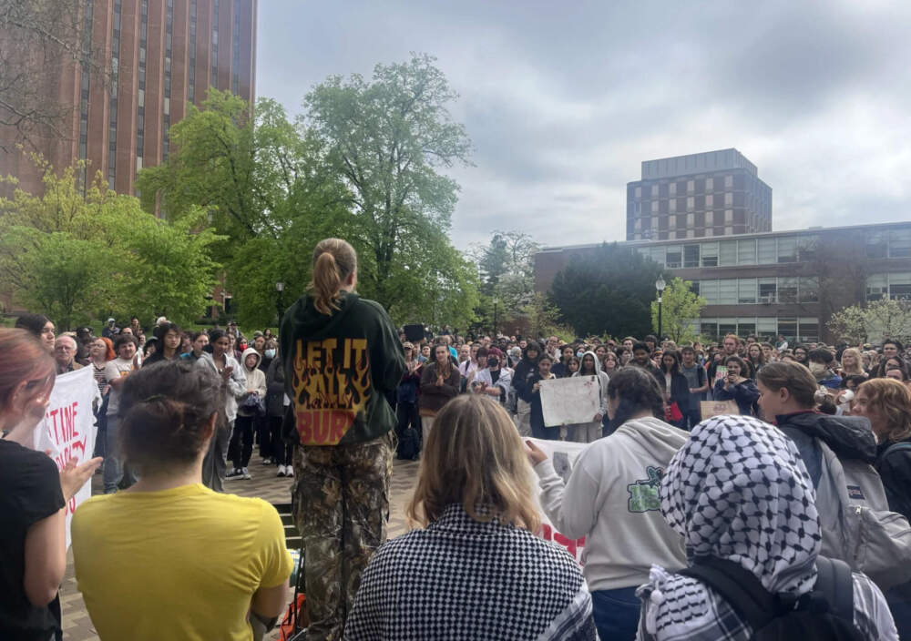 Hundreds of students gather on campus, May 8, 2024, to protest the war in Gaza, UMass Amherst's ties to military contractors, and the university's decision to order police to clear an encampment the night before. Police arrested more than 130 protesters. (Nirvani Williams/NEPM)
