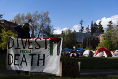 A student at the University of Oregon sets up a sign that reads &quot;Divest from death&quot; as students set up a tent encampment at the university to protest the Israel-Hamas war. (Jenny Kane/AP)