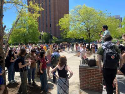 Protesters on the lawn of the University of Massachusetts Amherst campus on May 7, 2024. (Dusty Christensen/NEPM)