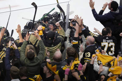 Fans celebrate after the Boston Bruins defeated the Toronto Maple Leafs in overtime during Game 7 of an NHL hockey Stanley Cup first-round playoff series on May 4 in Boston. (Michael Dwyer/Ap)